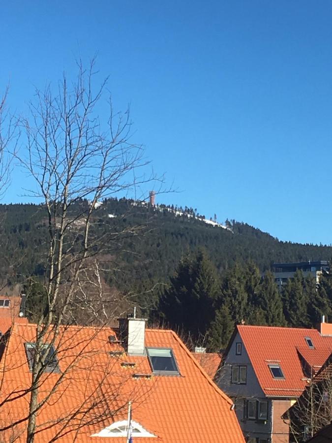 Luxurioese 3-Zi. Ferienwohnung Jagdromantik 200 M Bis Zur Wurmbergsseilbahn ブラウンラーゲ エクステリア 写真